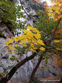 Acqua Rocca